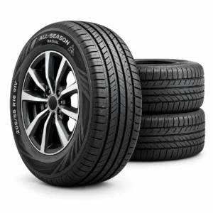 All-Season Radial Tyre 205/55 R16 91V